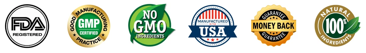 DigestiStart_Certificate 